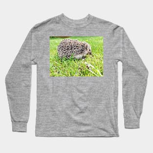 In the grass Long Sleeve T-Shirt